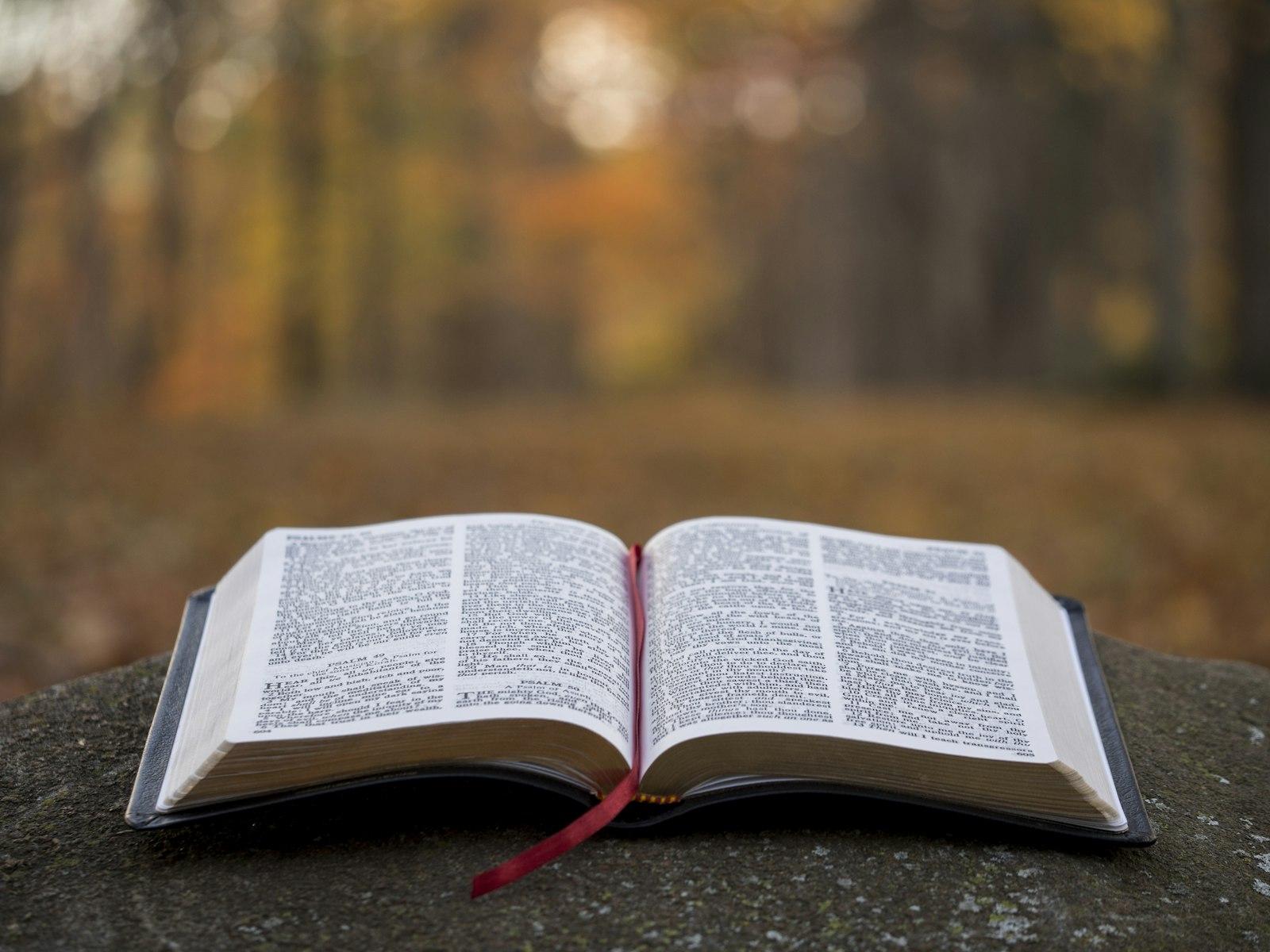 An open Bible with a red ribbon marker resting on a flat stone, with autumn trees blurred behind it
